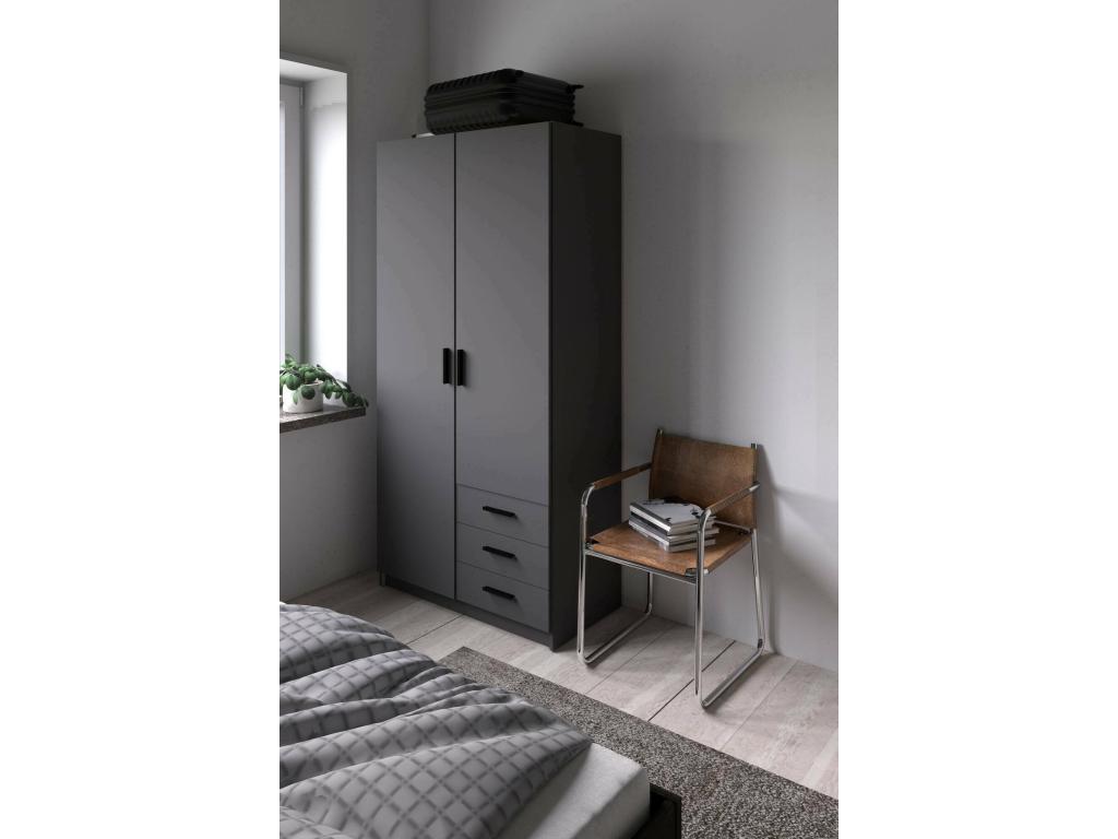 Zensova 2-Door Wardrobe, Bedroom Furniture, Walk-in Closet, Clothes Closet, 99x50 h200 cm, Grey XFCK27133