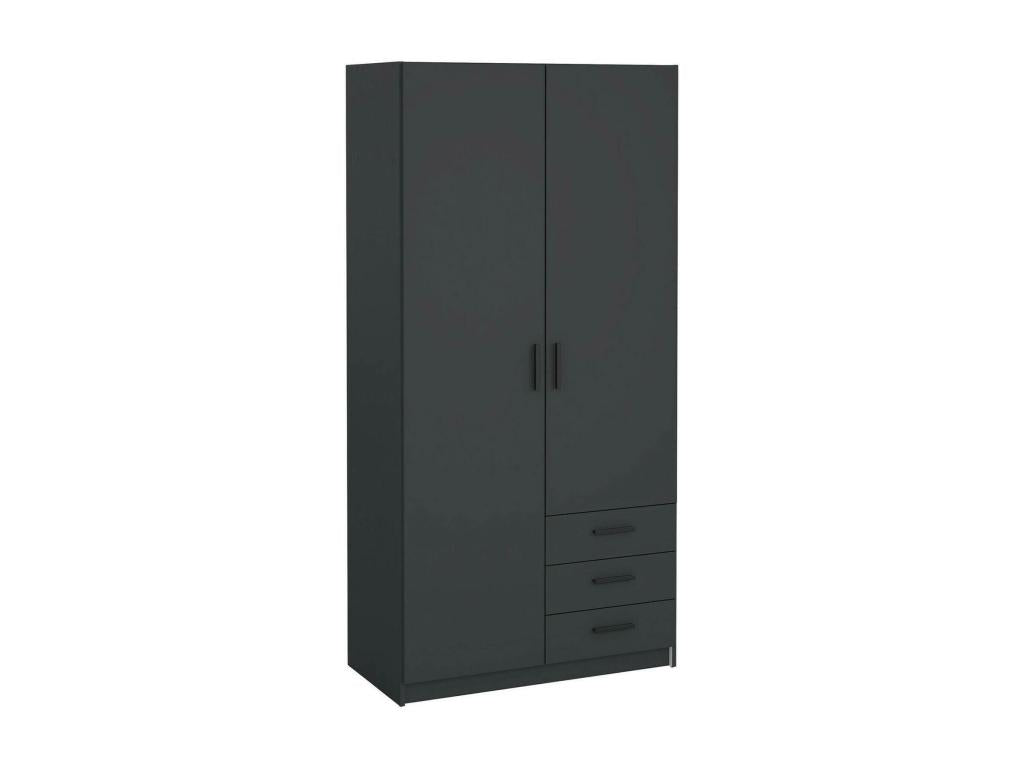 Zensova 2-Door Wardrobe, Bedroom Furniture, Walk-in Closet, Clothes Closet, 99x50 h200 cm, Grey XFCK27133