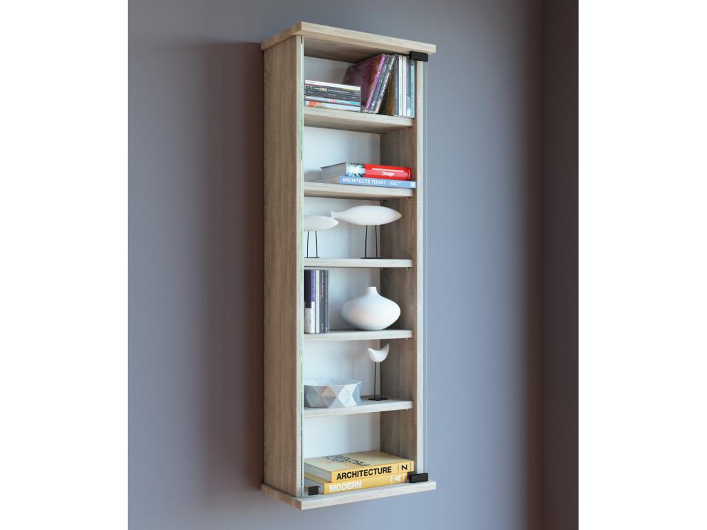Elariva wooden CD/DVD wall shelf, hanging shelf, wall cabinet, display case, Loposa glass door, beech, RFLC60544